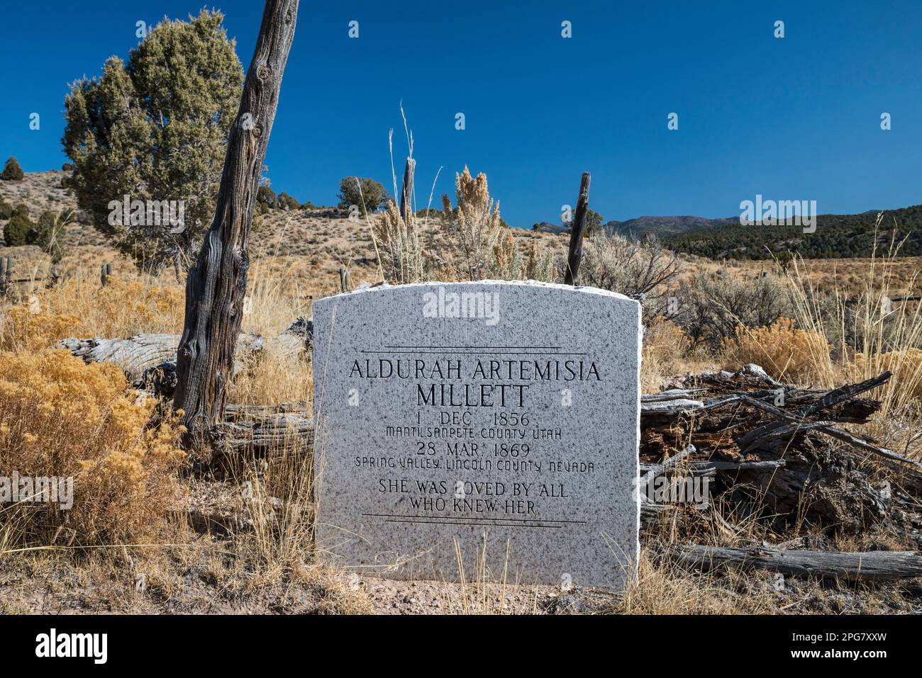 Tombstone im Spring Valley, Wilson Creek Range, nahe Ursine, Nevada, USA Stockfoto