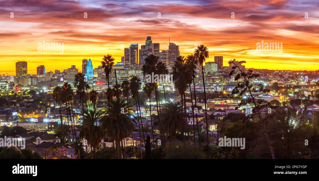 Los Angeles, USA - 4. November 2022: Blick auf die Skyline von Downtown Los Angeles mit Palmen bei Sonnenuntergang im Panorama California in Los Angeles, USA. Stockfoto