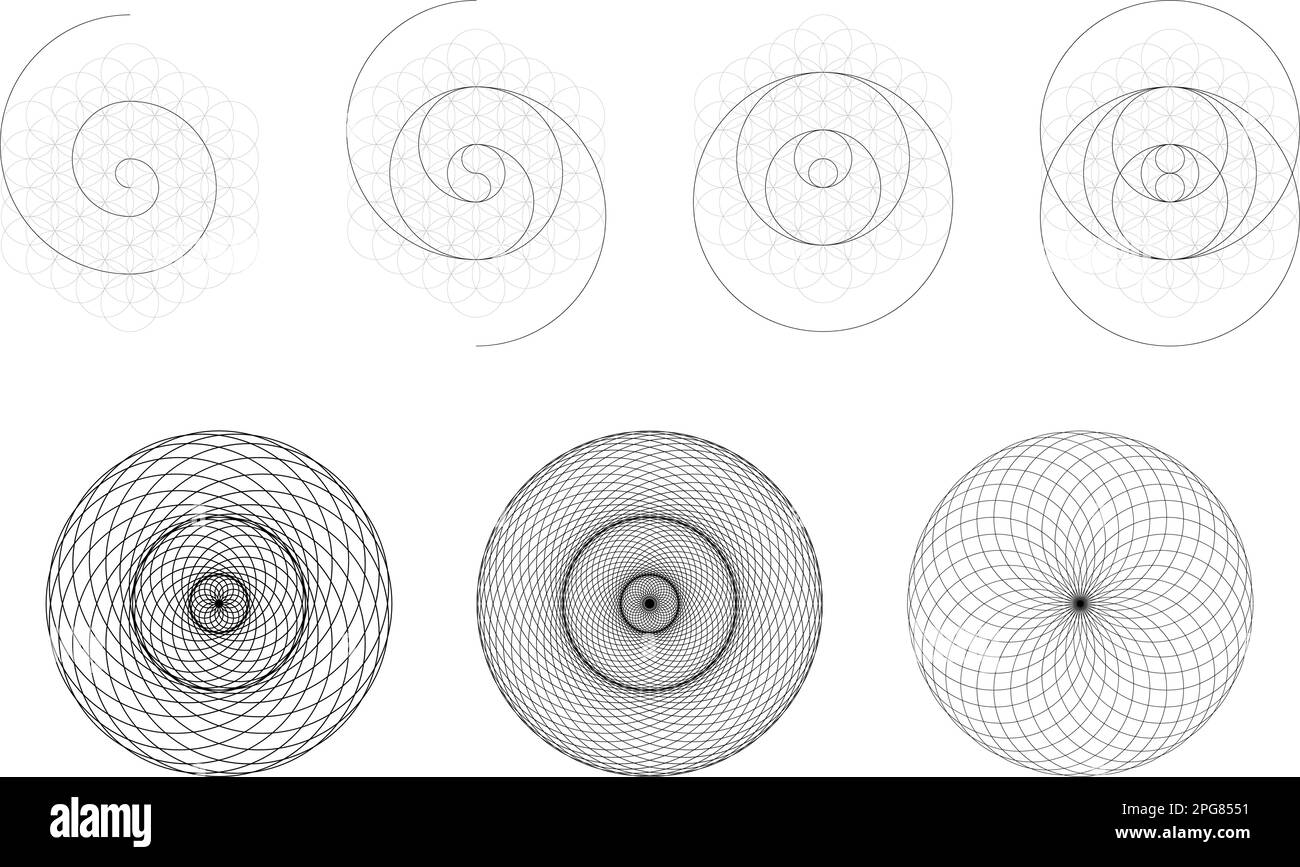 Set geometrischer Elemente und Formen. Heilige Geometrie Torus Yantra oder hypnotische Augenentwicklung. Vektorkonstruktionen Stock Vektor