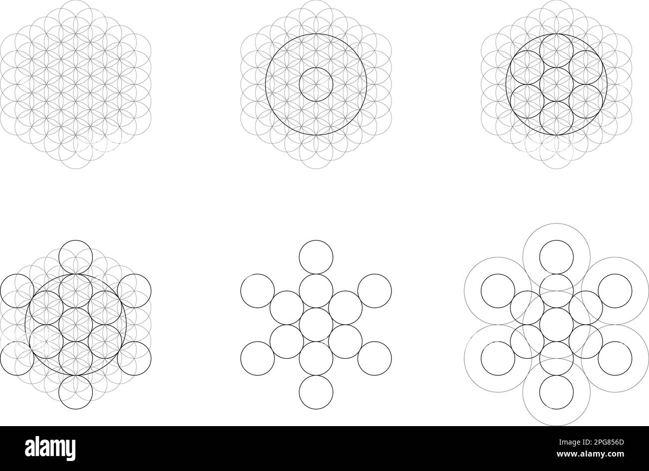 Set geometrischer Elemente und Formen. Heilige Geometrie Lebensblume und Metatronen-Würfel-Übergang. Vektorkonstruktionen Stock Vektor