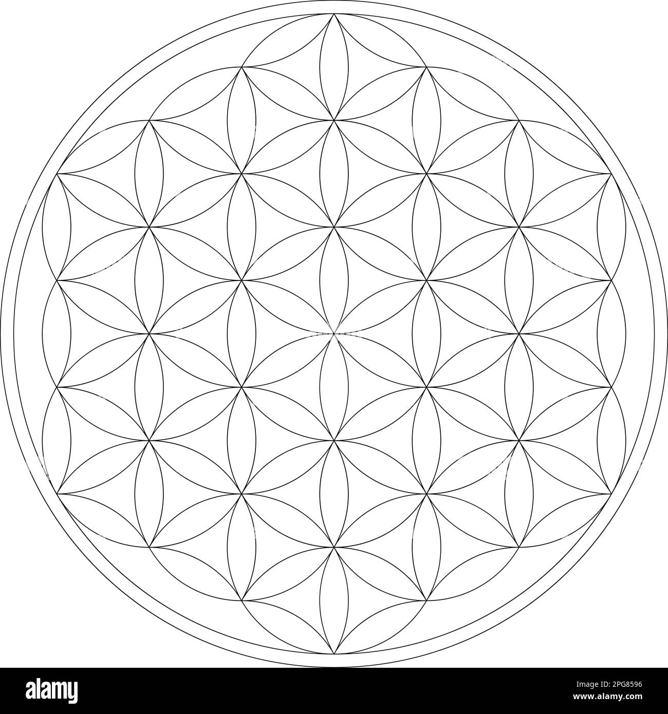 Geometrische Figur. Vektordarstellung der Blume des Lebens mit heiliger Geometrie Stock Vektor