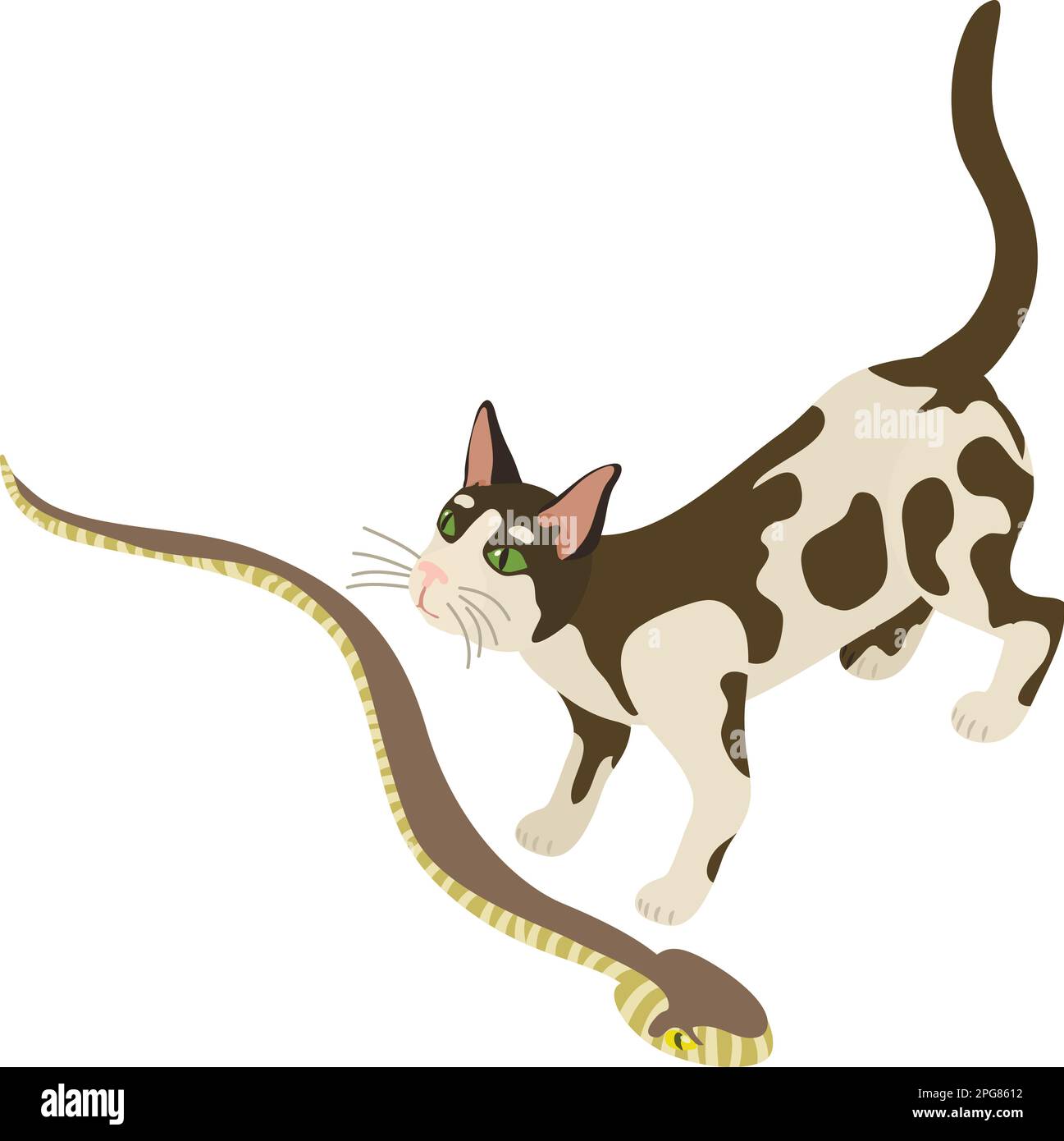 Isometrischer Vektor des Tierpflegesymbols. Schwarz-weiße Hauskatze und Gemeine Viper. Das Konzept der biologischen Vielfalt Stock Vektor