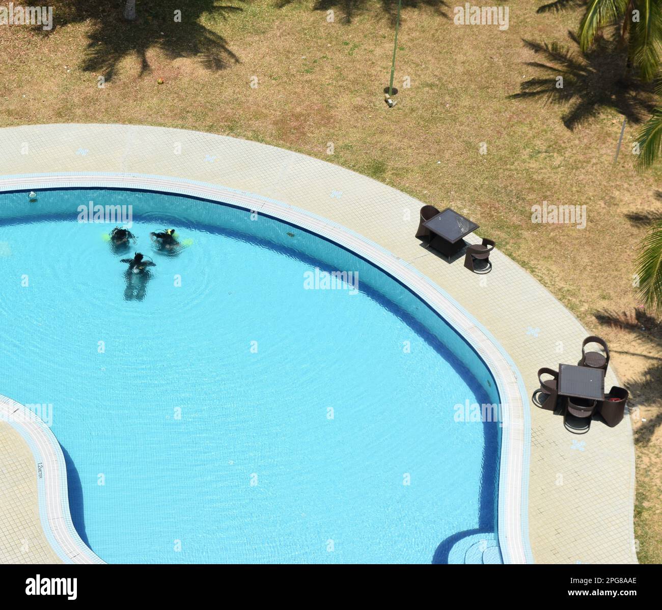 Taucher testen die Ausrüstung im Pool. Stockfoto