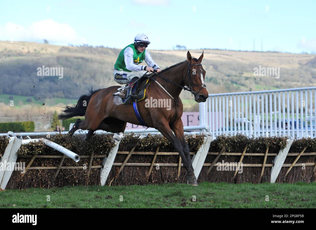 Dritter Wettkampf 2,50 The Albert Bartlett Novice Hurdle Weveallbeencaught Rived by Sam Twiston-Davies springt das letzte Pferderennen in Cheltenham Raceco Stockfoto