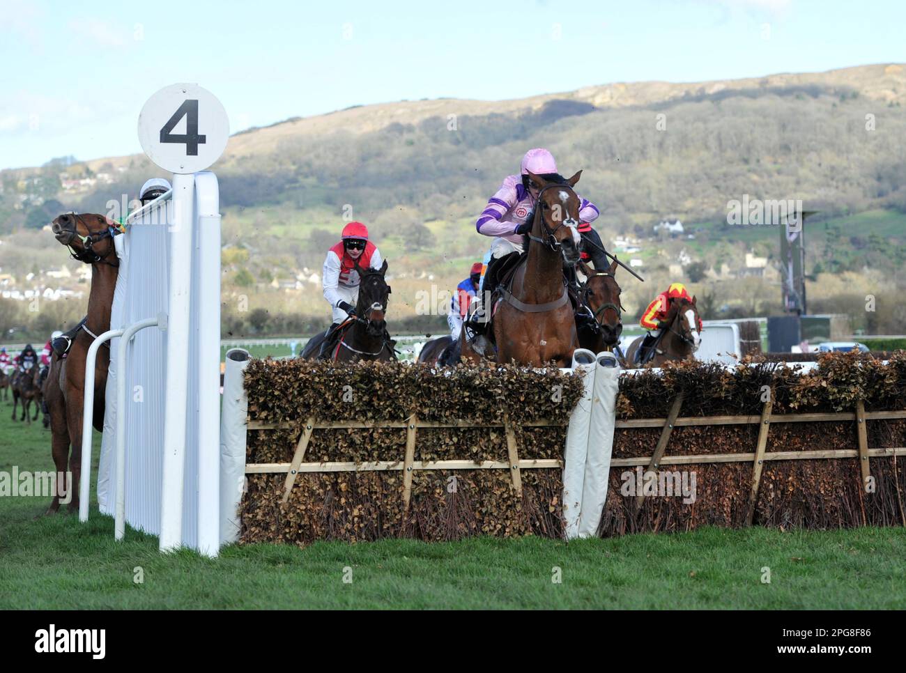 Dritter Wettkampf 2,50 The Albert Bartlett Novice Hürde Stay Raded by Harry Cobden springt zum letzten Mal, wenn Corbetts Cross Ride by Mark Walsh abstürzt Stockfoto