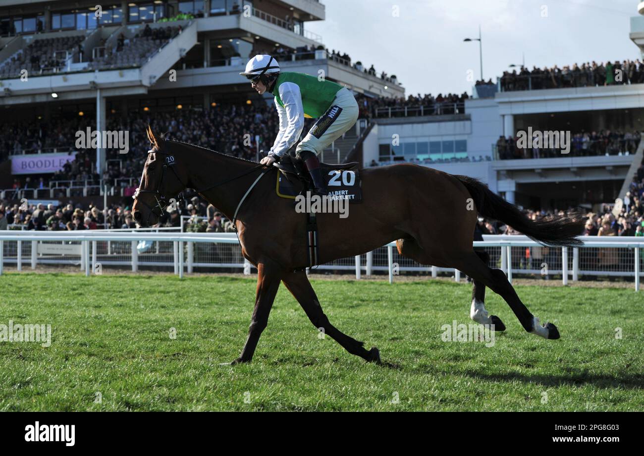 Drittes Rennen 2,50 die Albert Bartlett Novice Hürde Weveallbeencatch, die von Sam Twiston-Davies auf dem Weg zum Start geritten wird. Pferderennen in Chelten Stockfoto