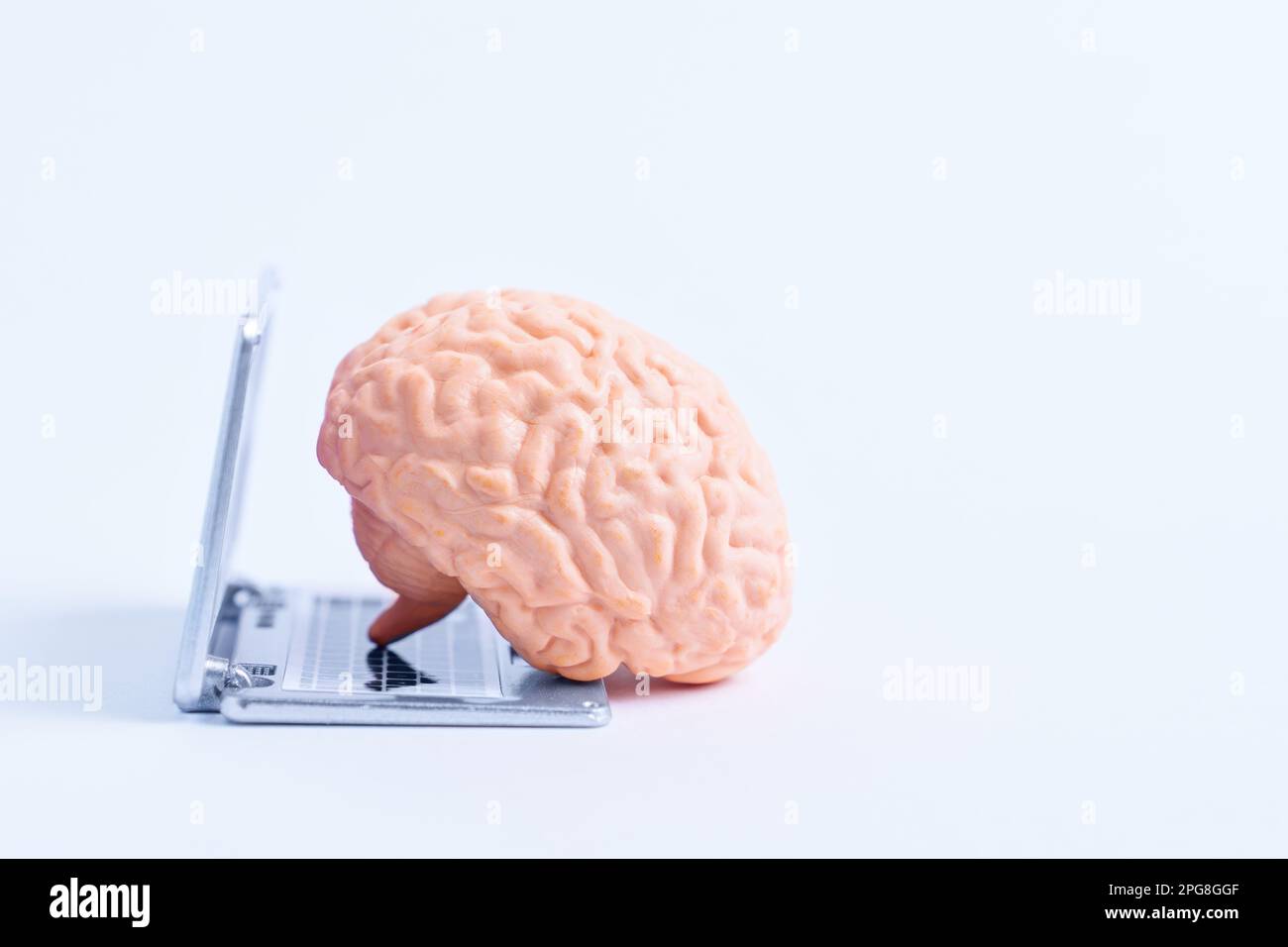 Anatomisches Modell eines menschlichen Gehirns unter Verwendung einer Miniatur-Laptop-Kopie, repräsentiert die Idee der künstlichen Intelligenz. Stockfoto