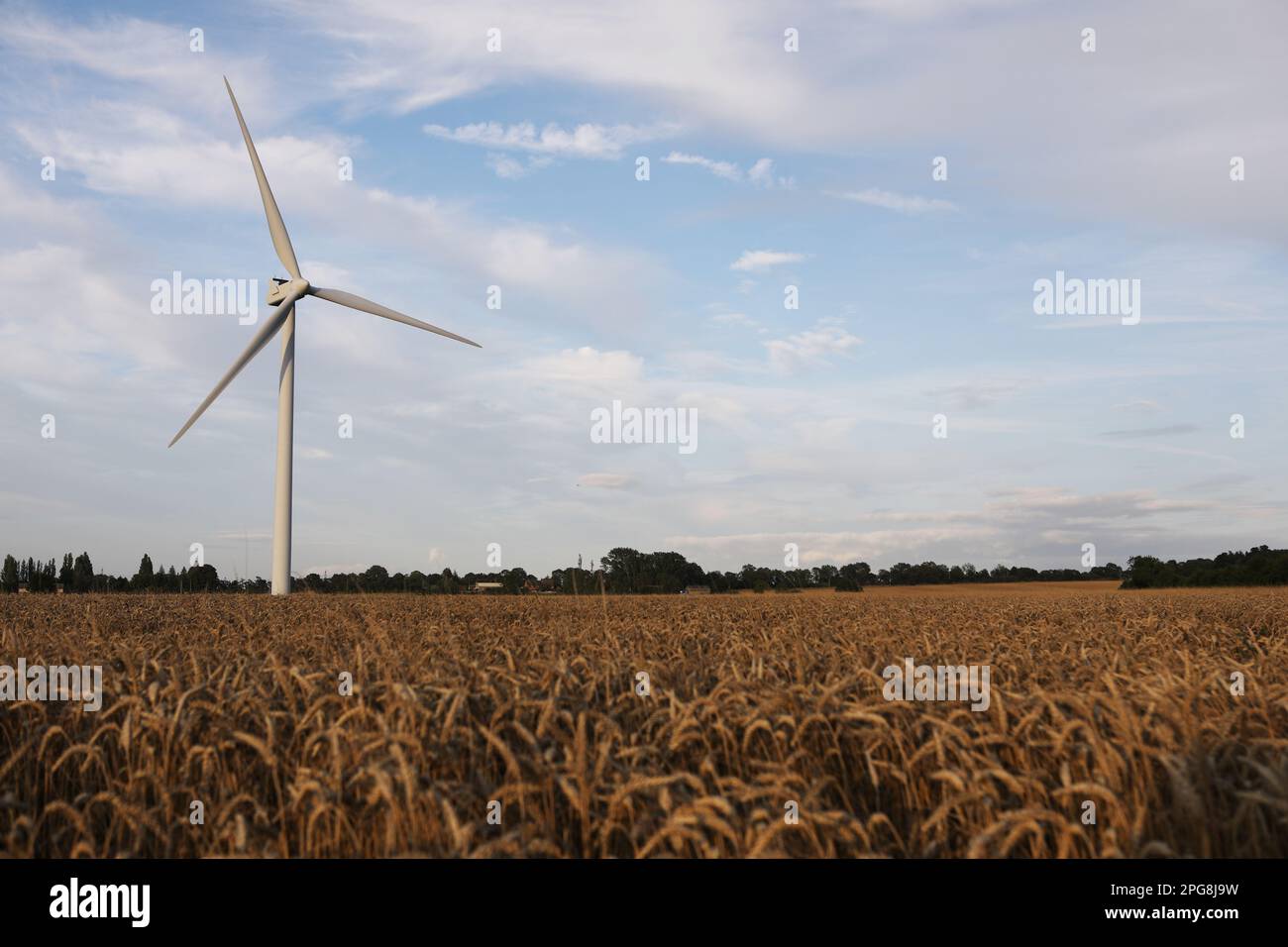 Windturbinen auf dem Land, Vereinigtes Königreich Stockfoto
