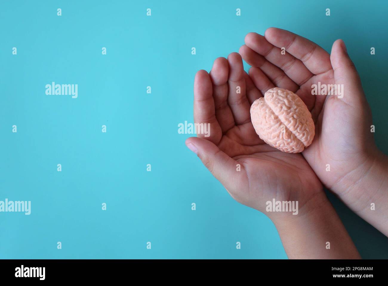 Hände halten menschliches Hirnmodell mit Kopierraum. Bewusstsein für Alzheimer, Parkinson-Krankheit, Demenz, Schlaganfall, Krampfanfälle oder psychische Gesundheit. Neurologie an Stockfoto