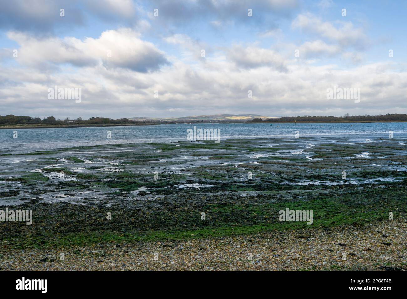 Chichester Harbour National Landscape am Chalkdock Point im Winter, West Itchenor, West Sussex, England. Stockfoto