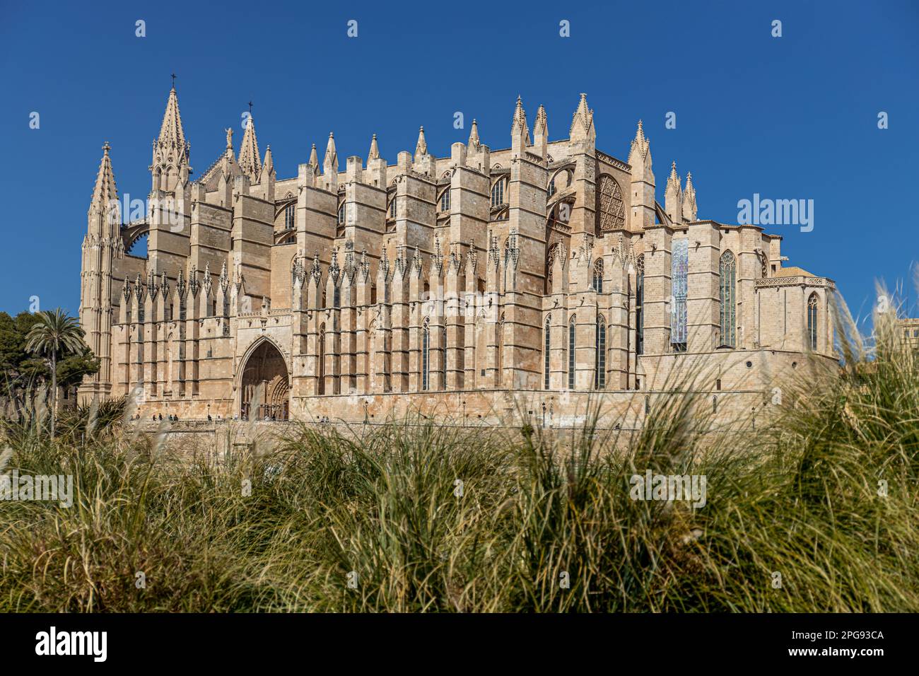 Palma Kathedrale La Seu in Palma, Mallorca, Mallorca, Balearen, Spanien, Europa Stockfoto