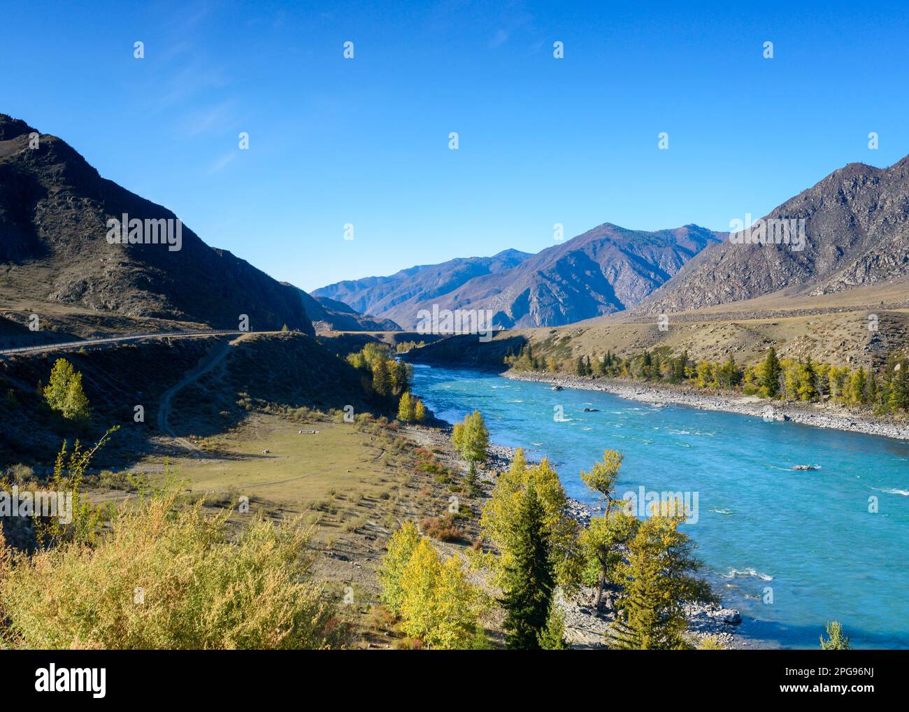 Der türkisfarbene Fluss Katun fließt schnell mit Stromschnellen im Altai-Gebirge zwischen den Felsen im Schatten der Küste und Bäumen im Herbst. Stockfoto