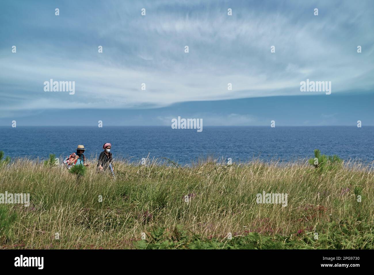Ein Paar spaziert durch die Vegetation der Stadt Sonabia, Klippen am Ufer des Kantabrischen Meeres, Bucht von Biskaya, Kantabrien, Spanien, Europa Stockfoto