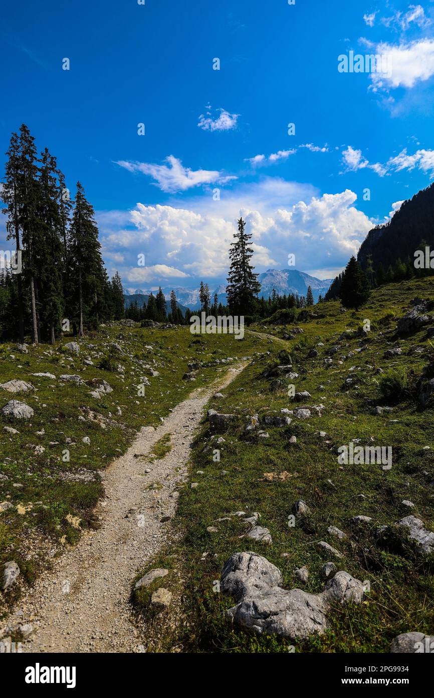 Zeit zur freien Verfügung in den alpen Stockfoto