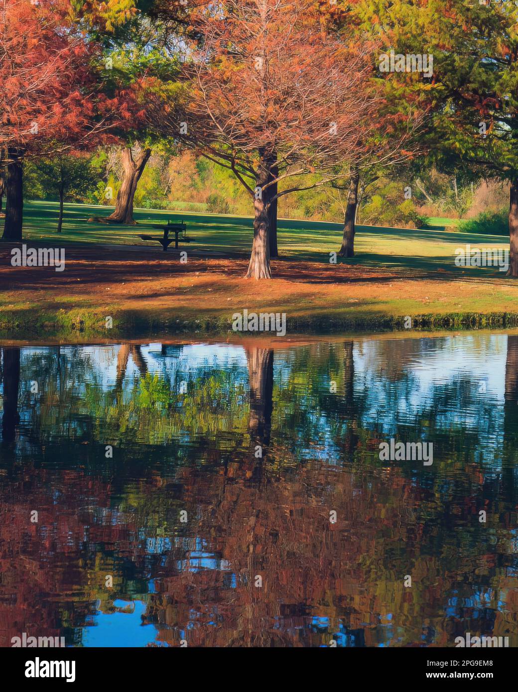 Halten Sie die atemberaubende Schönheit des Herbstes mit diesem Foto von Crowley Park, Richardson, Texas, fest. Der ruhige Teich spiegelt die lebendigen Farben der fa wider Stockfoto