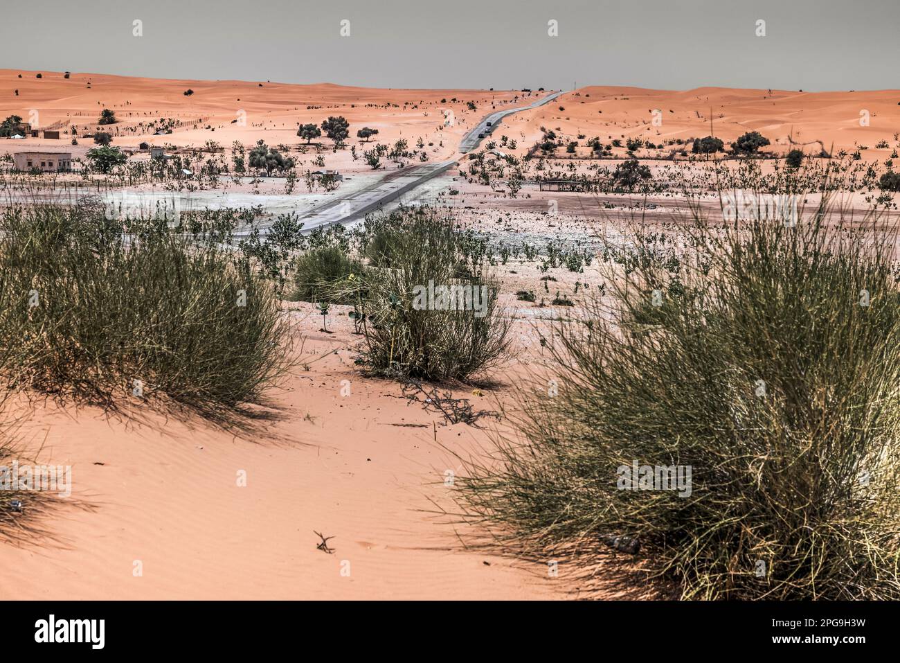 Wüstenlandschaft auf der Fahrt zwischen Boutilimit und Nouakshott in Mauretanien. Brahim Ramdhane, ehemaliger Sklave und Gründer seiner NRO Sahel Fondation, kämpft seit seiner Jugend gegen die Sklaverei, gegen die Unterdrückung seines Haratin-Stammes und für faire Bildungsmöglichkeiten. Stockfoto