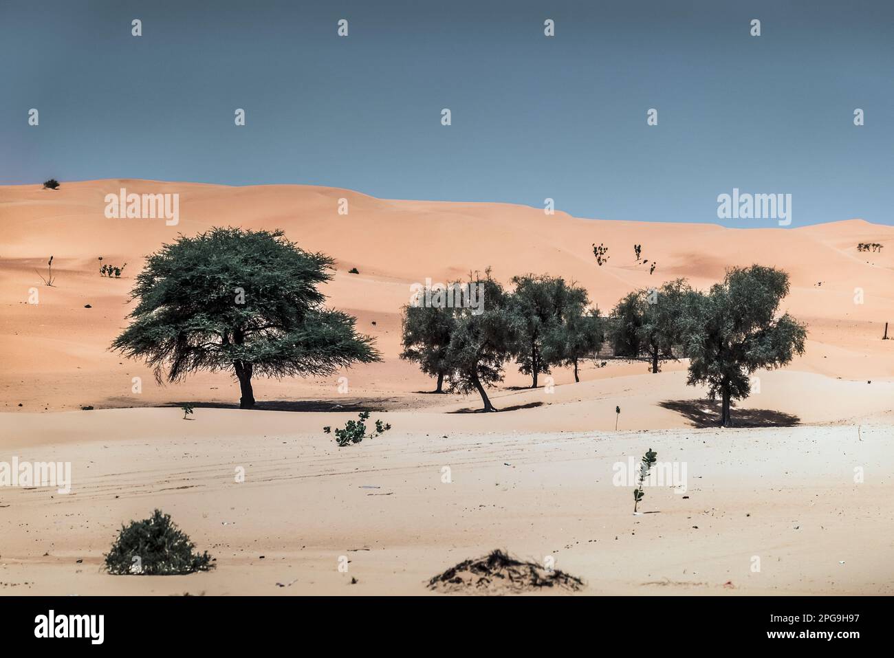 Wüstenlandschaft auf der Fahrt zwischen Boutilimit und Nouakshott in Mauretanien. Brahim Ramdhane, ehemaliger Sklave und Gründer seiner NRO Sahel Fondation, kämpft seit seiner Jugend gegen die Sklaverei, gegen die Unterdrückung seines Haratin-Stammes und für faire Bildungsmöglichkeiten. Stockfoto
