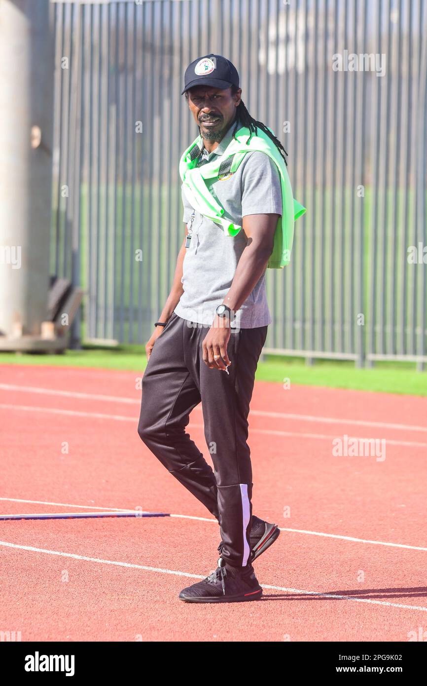 Trainiere Aliou Cissé aus Senegal während eines Trainings zur Vorbereitung des Qualifikationsspiels der Africa Cup of Nations (AFCON) gegen Mosambik im Stade du Sénégal - Abdoulaye Wade. Dakar, Senegal. Stockfoto