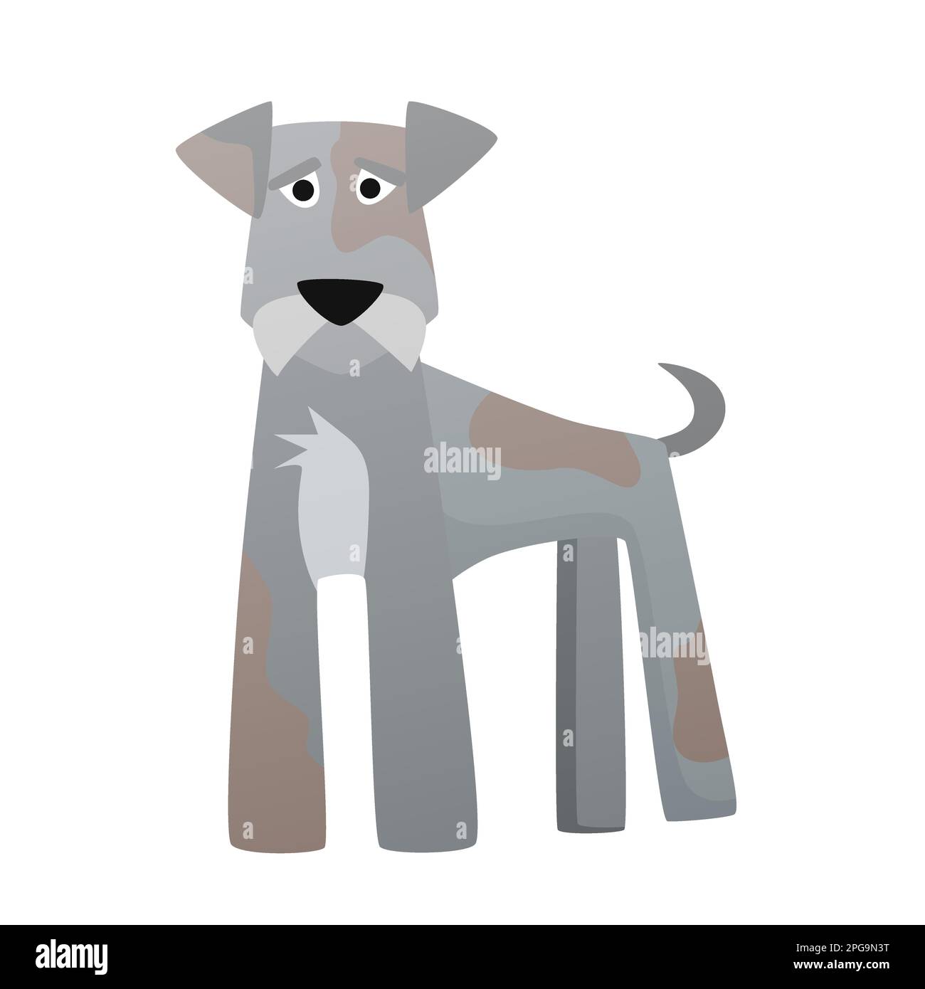Miniatur-Schnauzer-Hund. Hunderasse, familienloyale, reizende Tiervektor-Cartoon-Illustration Stock Vektor