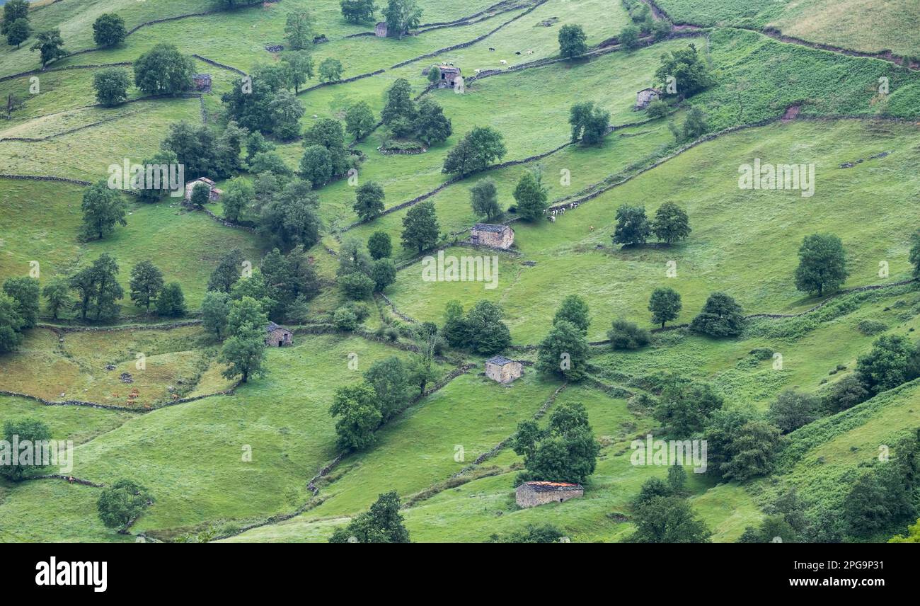 Rustikale Steinhütten auf einem Hügel mit grünen Wiesen Stockfoto