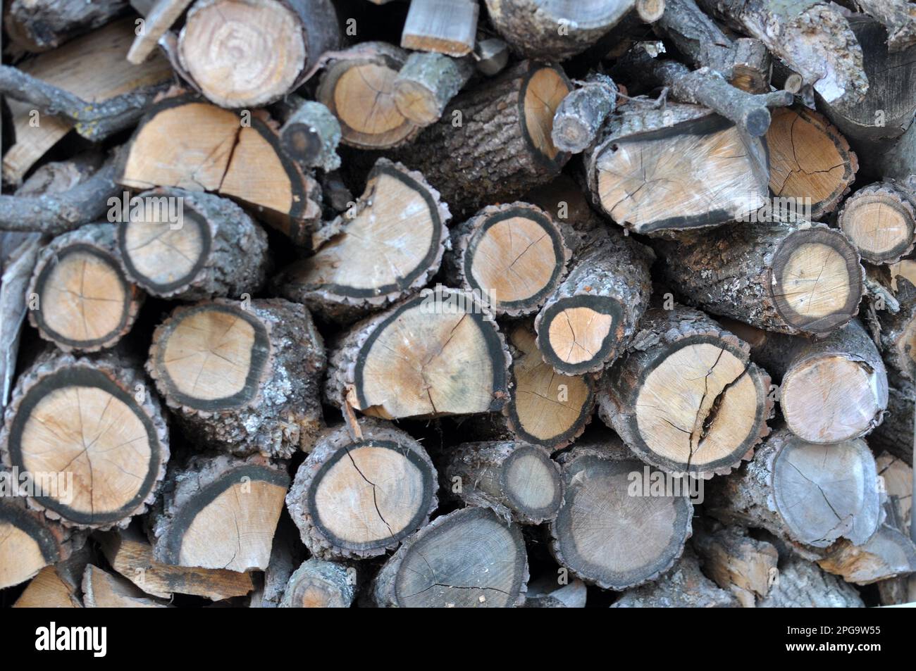 In einem Haufen Holzstücke, die zum Heizen in Brennholz geschnitten wurden Stockfoto
