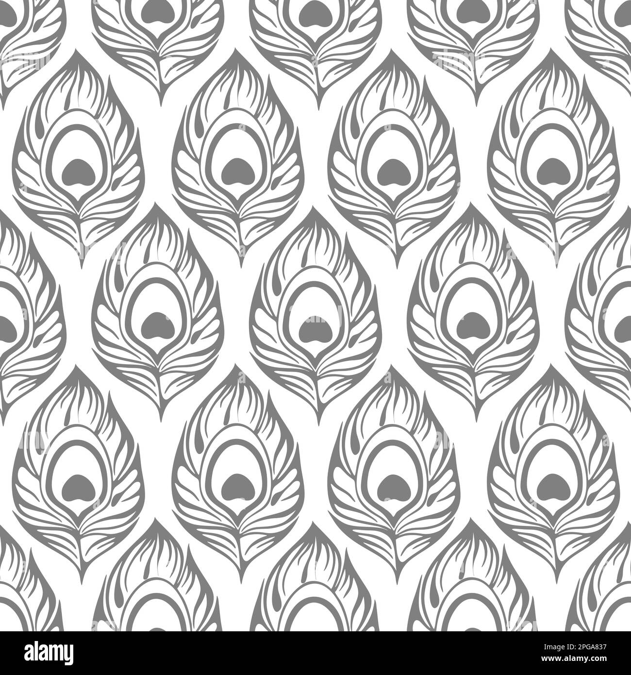 Nahtloses Konturmuster aus grauen Pfauenfedern auf weißem Hintergrund, Textur, Design Stockfoto