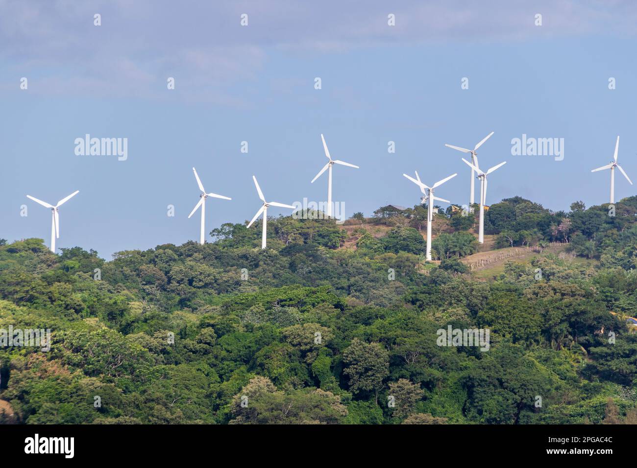 Moderne Windmühlen für die Stromerzeugung in Roatan, Honduras. Stockfoto