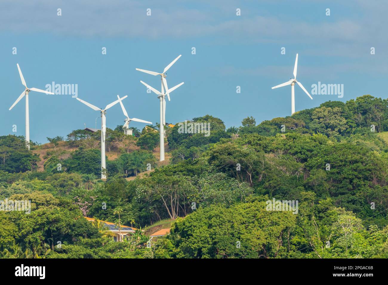Moderne Windmühlen in Roatan Honduras. Stockfoto