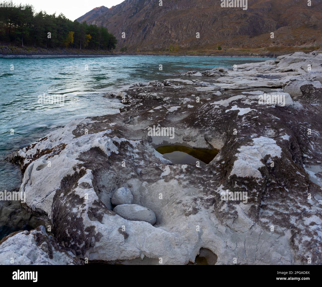 Rundsteine in Form eines Vogelnests am Ufer des Bergflusses Katun vulkanischen Ursprungs im Altai-Gebirge. Stockfoto