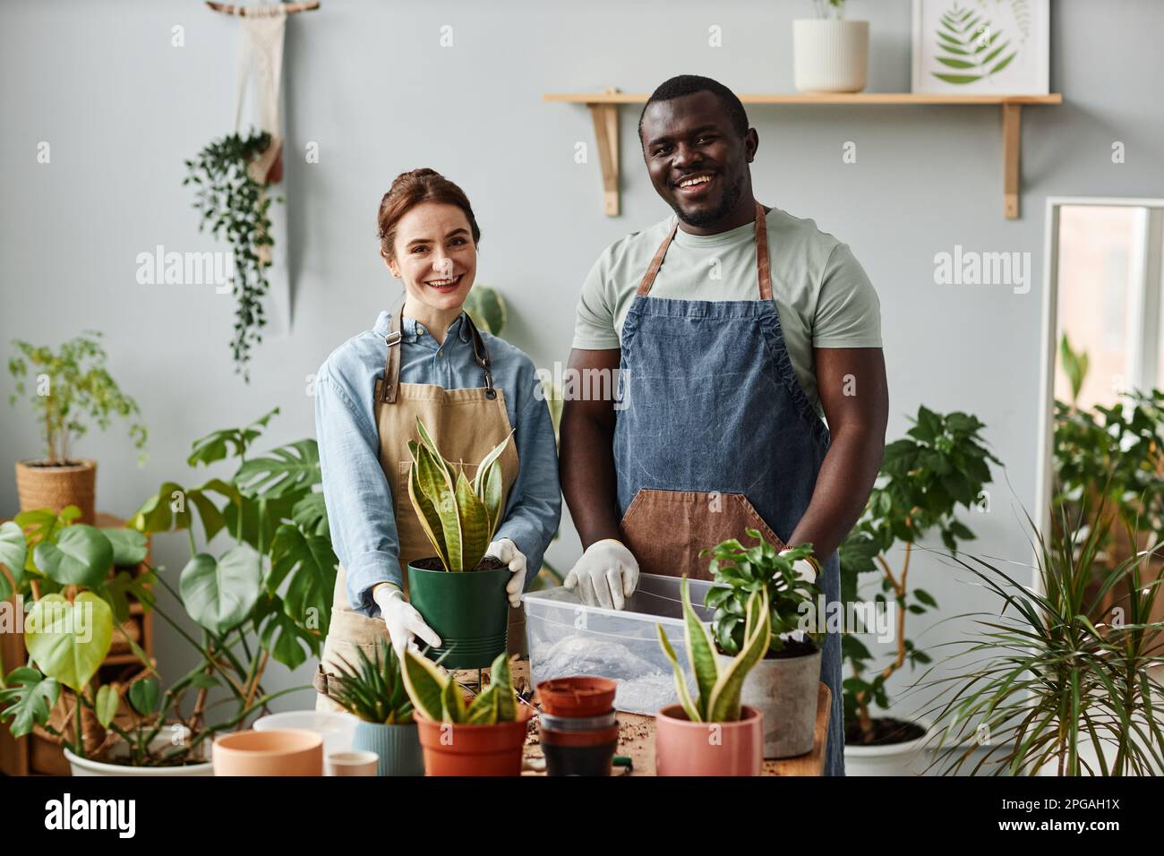 Porträt von zwei lächelnden Gärtnern, die drinnen in die Kamera schauen und mit üppigen grünen Pflanzen posieren Stockfoto