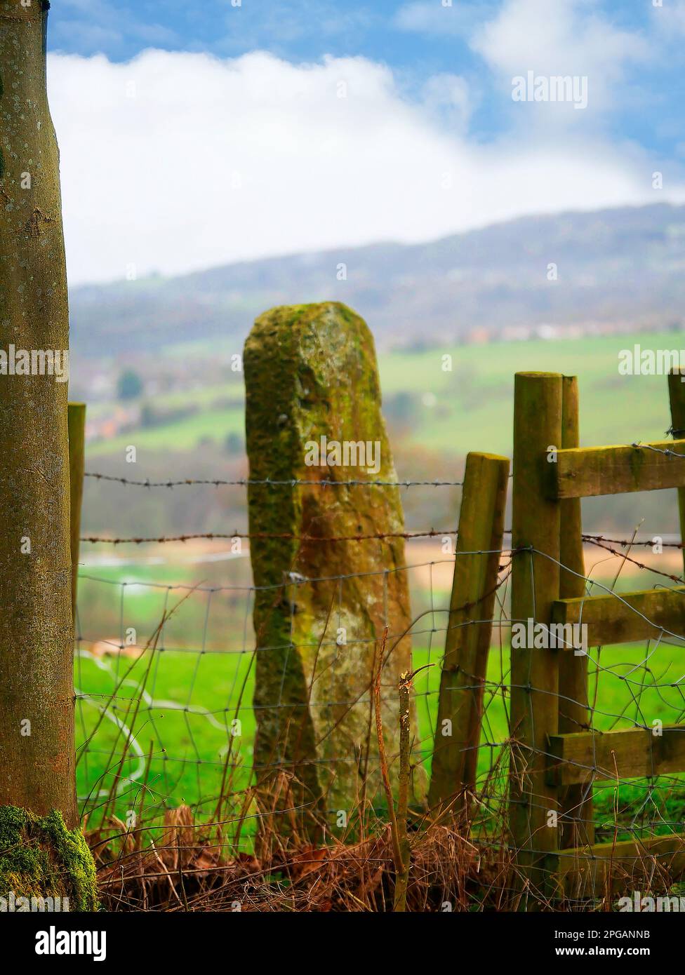 Ackerland rund um Pendle Hill in Lancashire. Diese Aussicht ist 4 Meilen vom Zentrum von Burnley entfernt, einer geschäftigen Fertigungsstadt Stockfoto