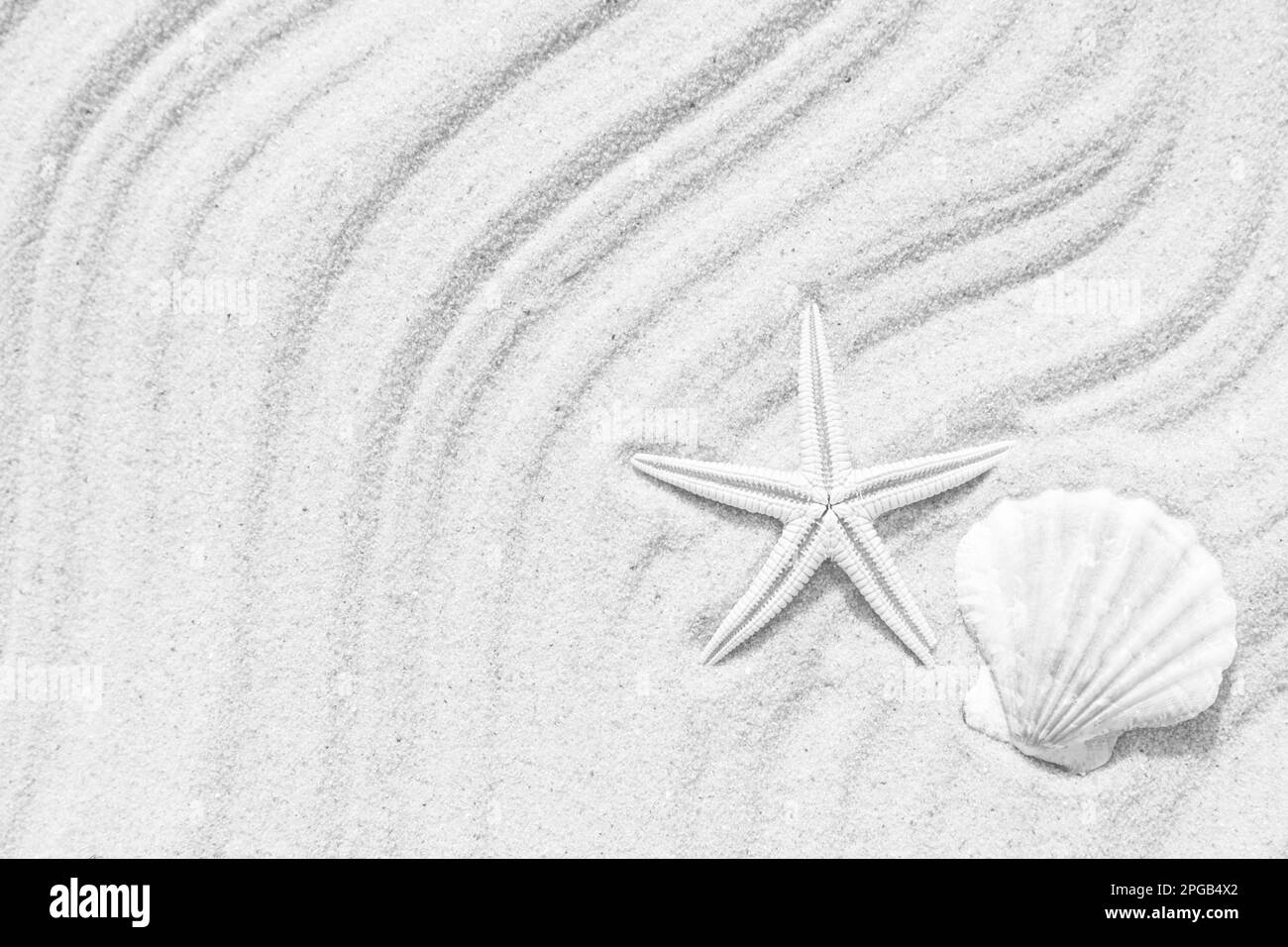 Seesterne und Muscheln am Strand mit Wellenmuster, Draufsicht. Platz für Text Stockfoto