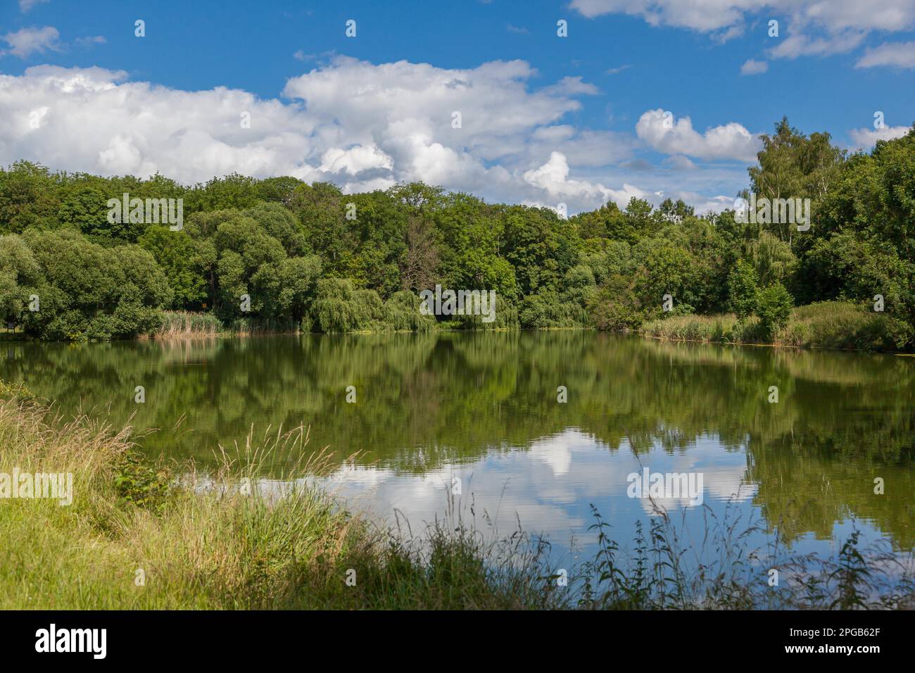 Roederhofer Pond Huy Stockfoto