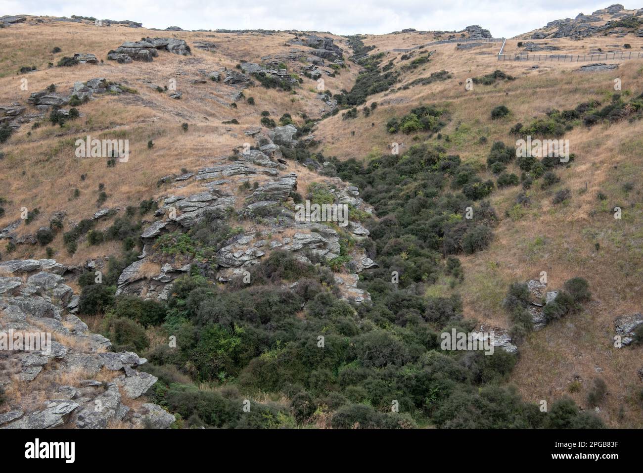 Mokomoko Trockengebiet im Otago Trockenland auf der Südinsel Neuseelands. Ein seltenes und bedrohliches Ökosystem. Stockfoto