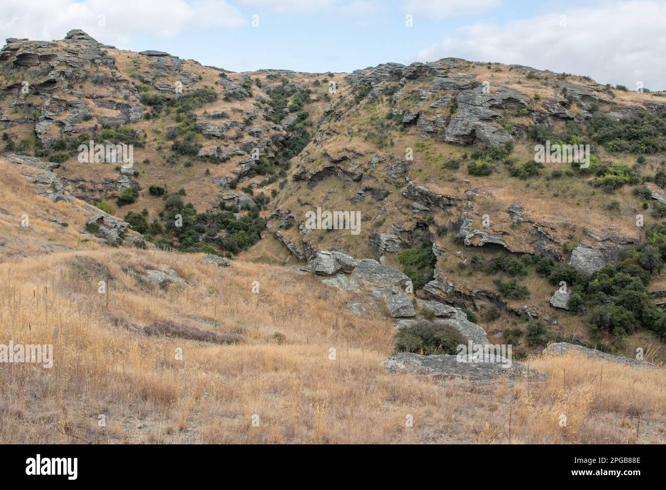 Mokomoko Trockengebiet im Otago Trockenland auf der Südinsel Neuseelands. Ein seltenes und bedrohliches Ökosystem. Stockfoto