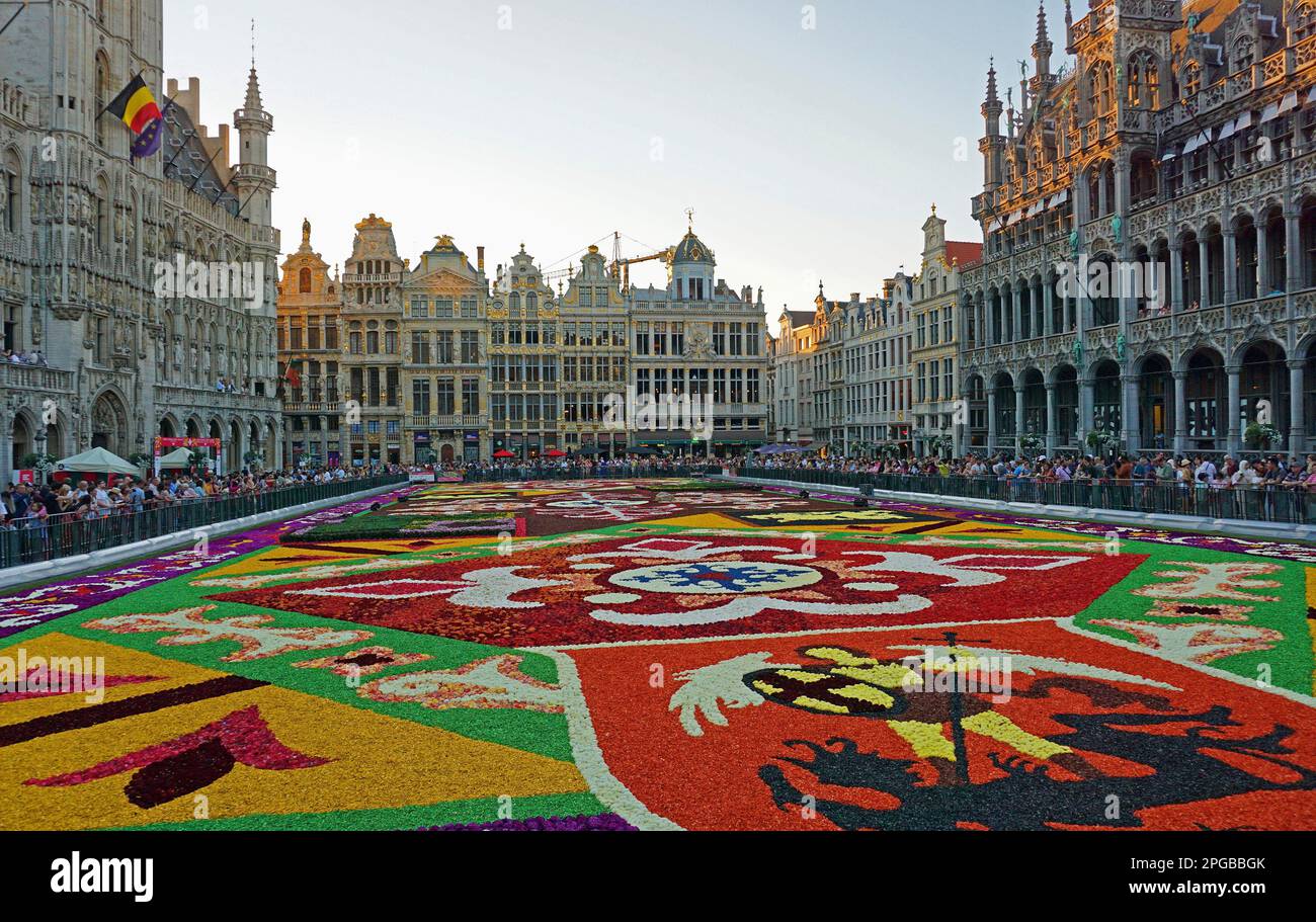 Blumenteppich und Touristen auf dem Grote Markt (Grand Place) vor historischen Gildenhäusern in Brüssel, Belgien Stockfoto