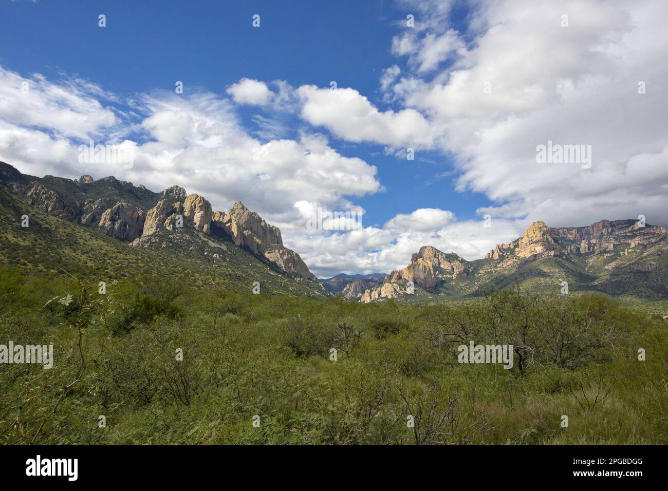 Wunderschöne abgelegene Chiricahua Mountains im Süden Arizonas, USA, mit felsigen Gipfeln, grünem Vordergrund und blauem Sommerhimmel im horizontalen Format Stockfoto