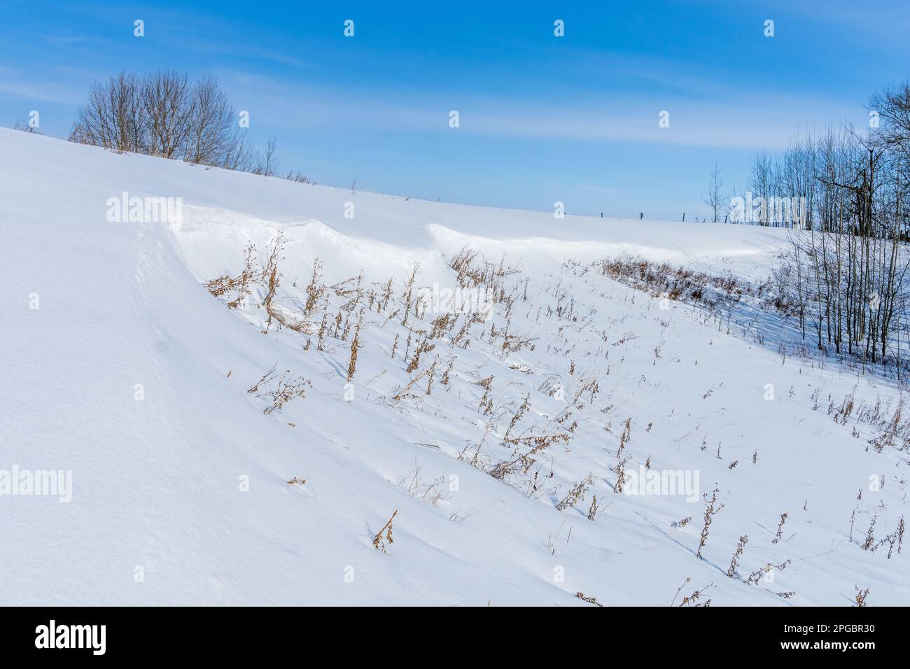 Schneeverwehungen am Feldrand und Blues-Himmelshintergrund in der Wintersaison Stockfoto