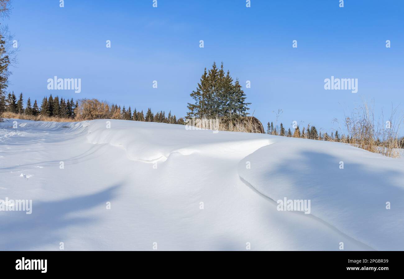 Feldrand mit Schneeverwehungen in der Wintersaison und blauem Himmel Stockfoto