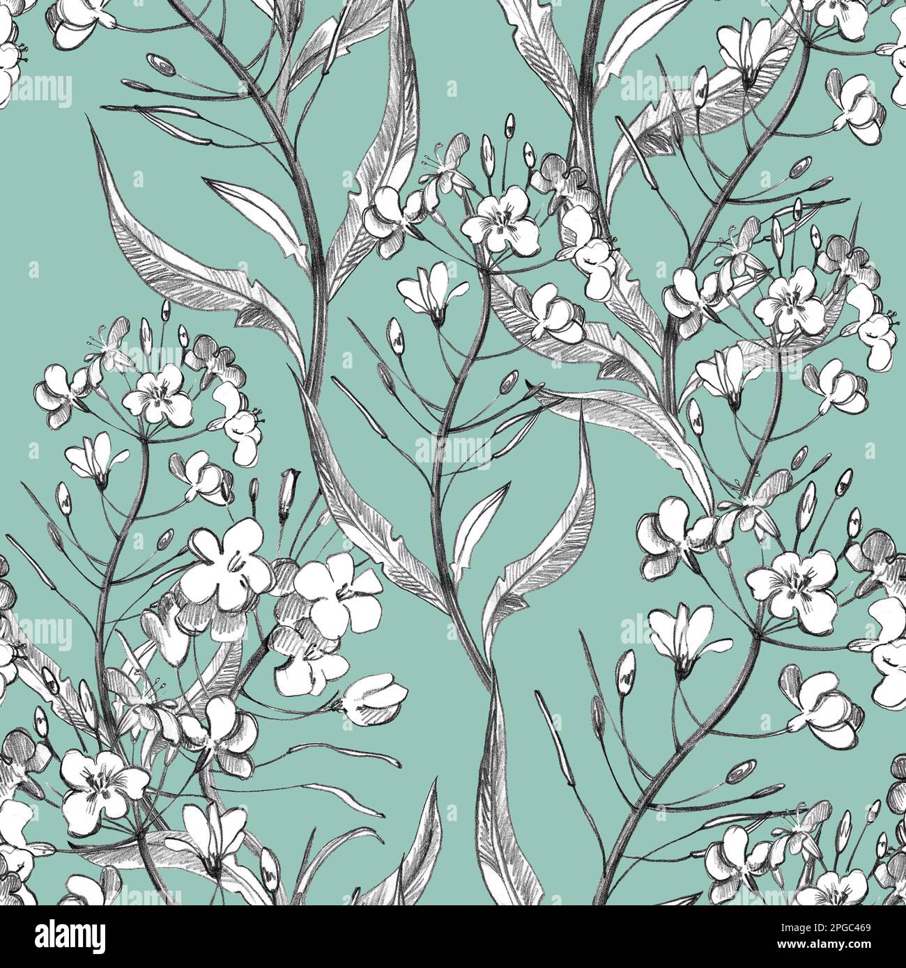 Zeichnen Sie Blumen mit nahtlosen Mustern von Hand im Vintage-Stil. Blumen, Blätter und Kräuter. Botanische Illustrationen. Stockfoto