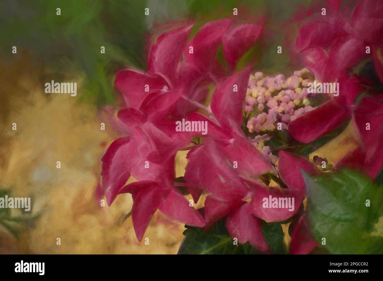 Digitale Malerei mit rosafarbenen und roten Hortensien und Blütenblättern in einem Garten mit geringer Schärfentiefe. Stockfoto