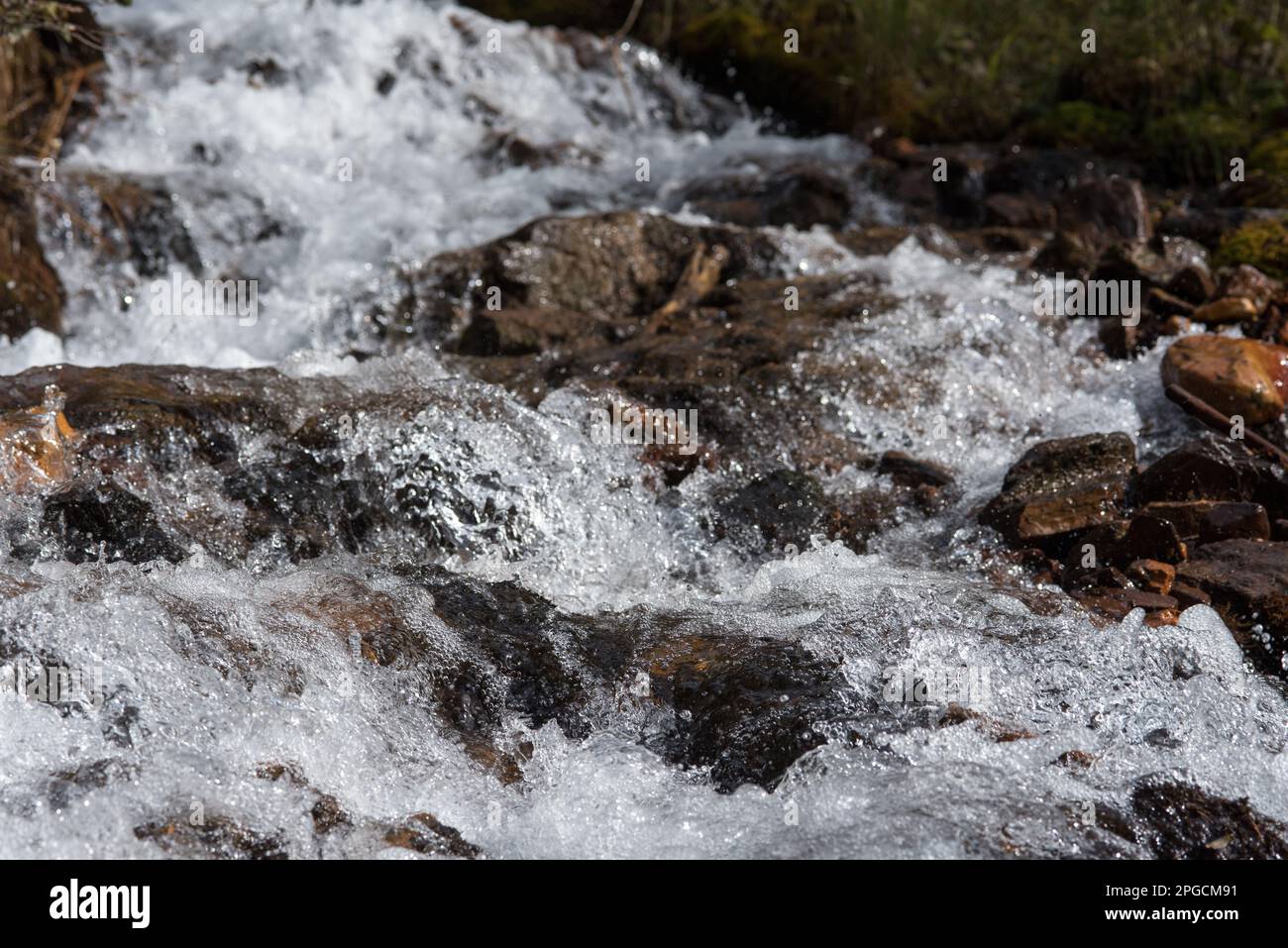 la bellezza e la peculiarità della natura in montagna, gli elementi naturali. Stockfoto