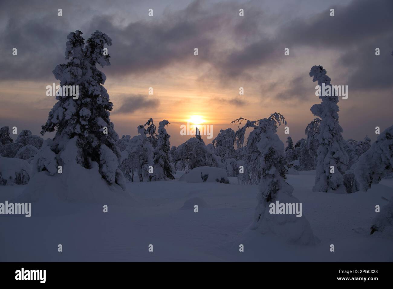 Winterszene bei Sonnenuntergang im Pallas-Yllästunturi-Nationalpark, Muonio, Lappland, Finnland Stockfoto