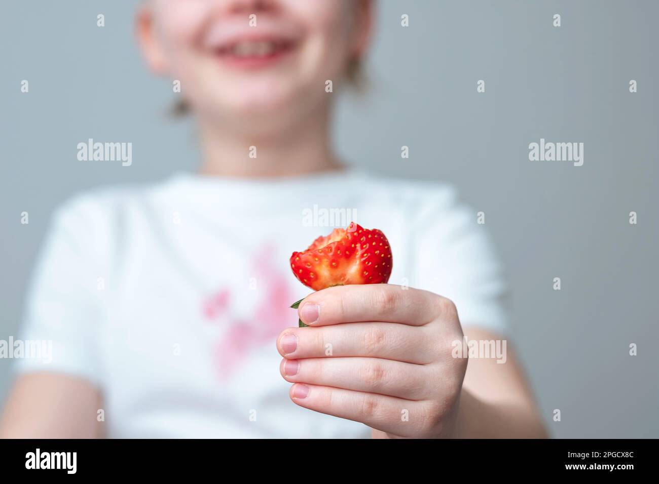 Die Hand eines Kindes hält ein Stück Erdbeere in der Hand. Ein schmutziger roter Fleck auf der Vorderseite eines weißen T-Shirts Stockfoto