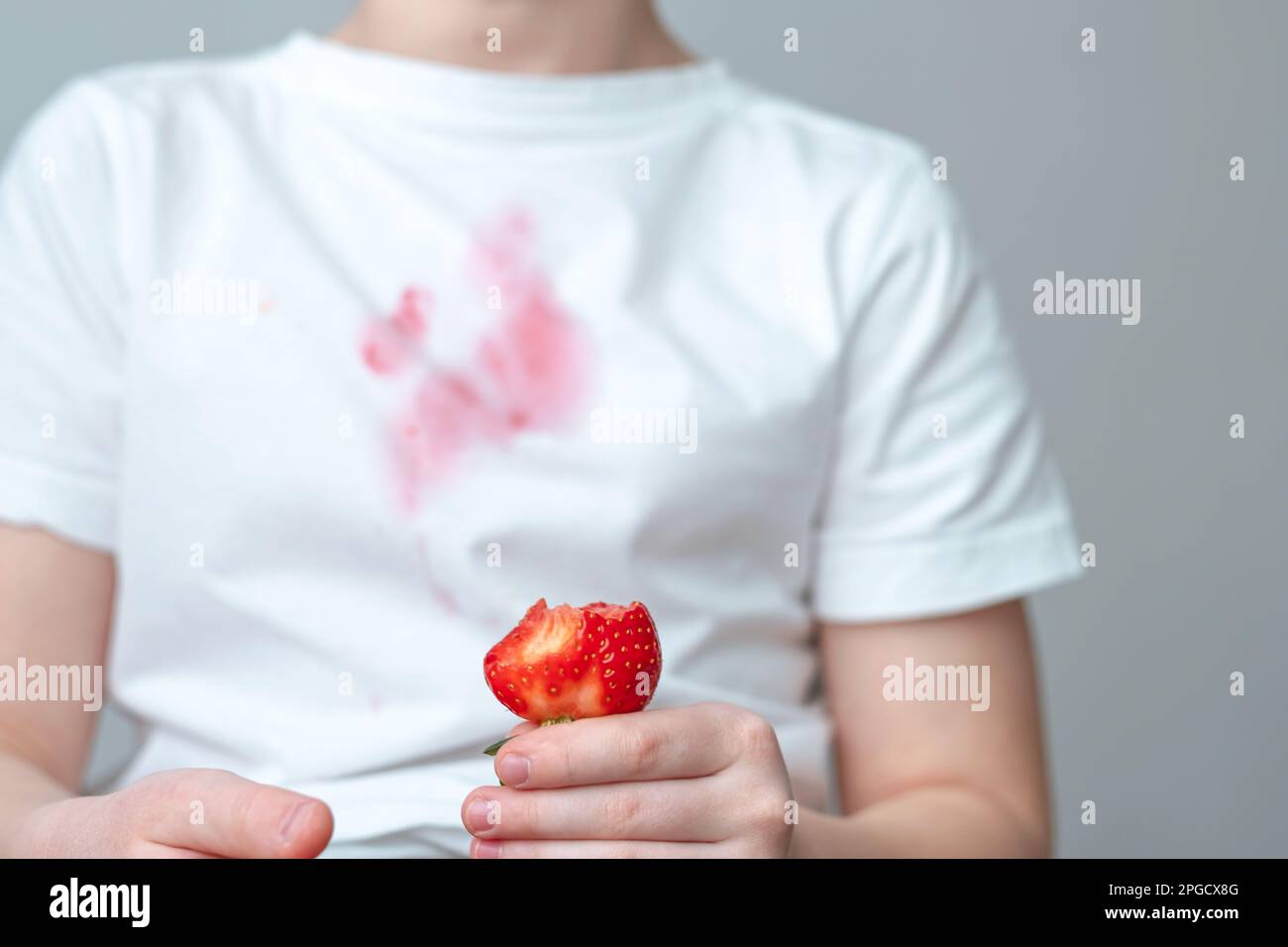 Ein schmutziger roter Fleck auf der Vorderseite eines weißen T-Shirts. Die Hand eines Kindes hält ein Stück Erdbeere in der Hand. Stockfoto