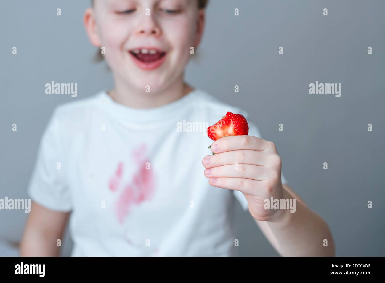 Die Hand eines Kindes hält ein Stück Erdbeere in der Hand. Ein schmutziger rosa Fleck auf der Vorderseite eines weißen T-Shirts. Das Konzept der täglichen Fleckenentfernung Stockfoto