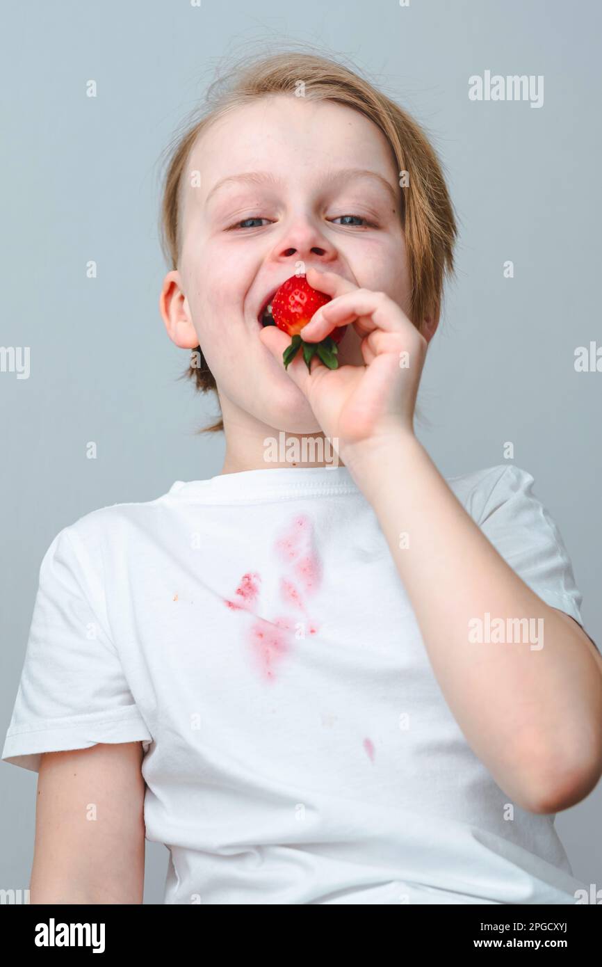 Porträt eines Jungen, der frische Erdbeeren auf grauem Hintergrund isst. Isoliert. Konzept der Fleckenreinigung auf Kleidung Stockfoto