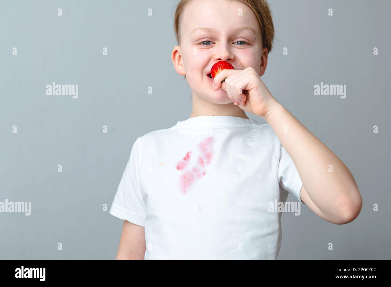 Porträt eines Jungen, der frische Erdbeeren auf grauem Hintergrund isst. Erdbeersaft hat das perfekte Outfit ruiniert. Isoliert Stockfoto