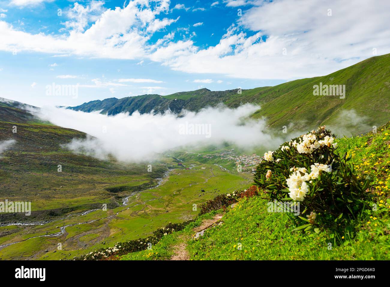 Avusor Plateau in Rize, Türkei. Wunderschöne Landschaft mit den Kackar Mountains. Stockfoto