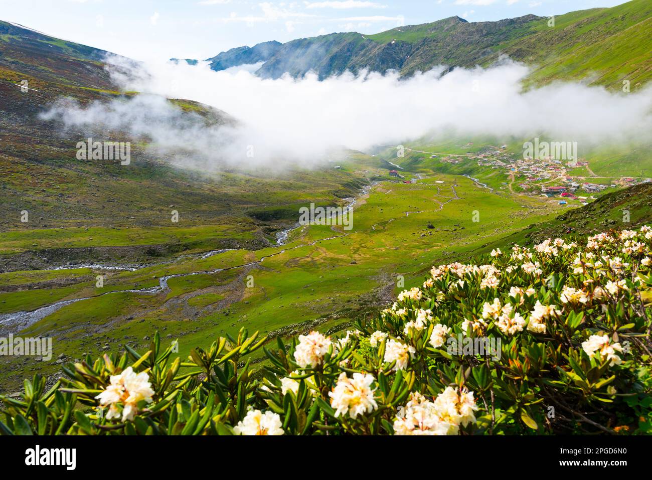 Avusor Plateau in Rize, Türkei. Wunderschöne Landschaft mit den Kackar Mountains. Stockfoto
